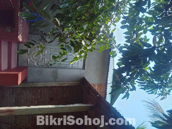 দেড়কাঠা জমিতে সেমিপাকা টিনশেড বাড়ী বিকয় হবে ।